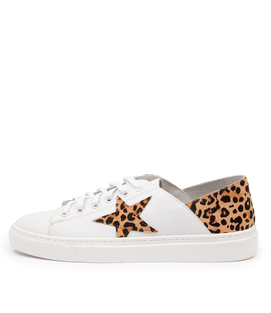 mollini shoes sale